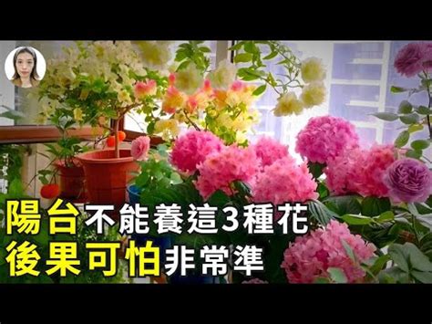 陽台種花風水|陽台植物風水指南：打造美觀旺運的陽台 